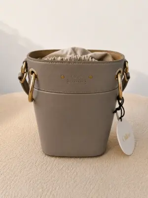 Chloe Grey Leather Small Roy Bucket Bag